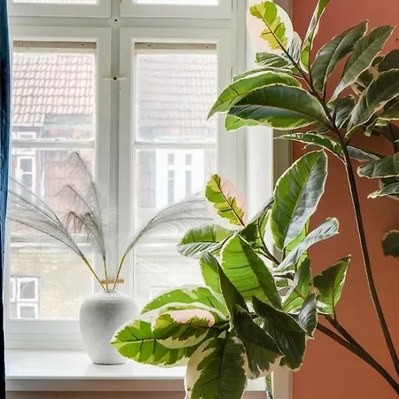 Appartement Cozy And Charming In *